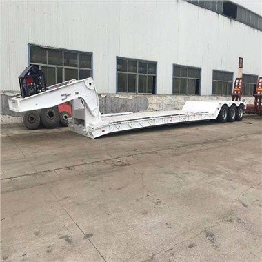 Eemaldatav Goonecki haagis